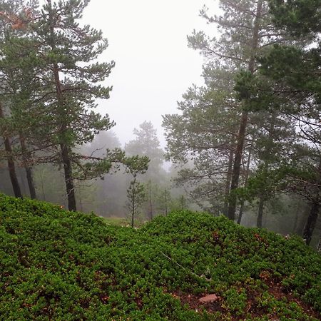 B&B En Valdemoro De La Sierra Exteriér fotografie