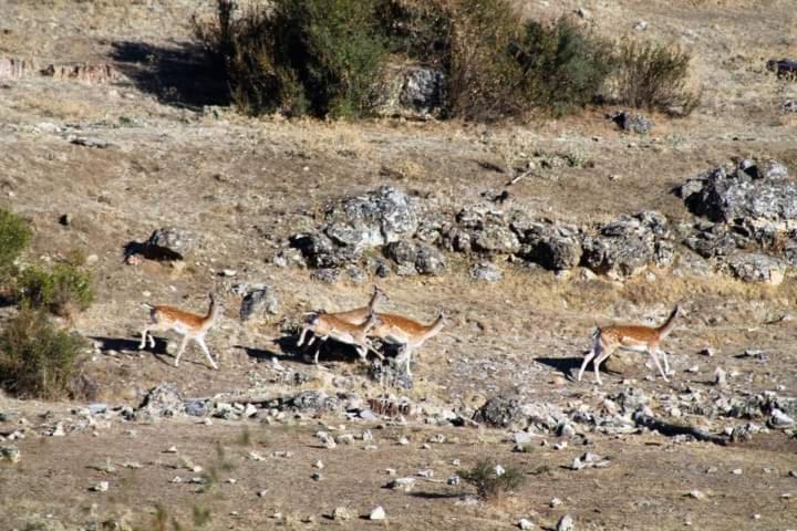 B&B En Valdemoro De La Sierra Exteriér fotografie