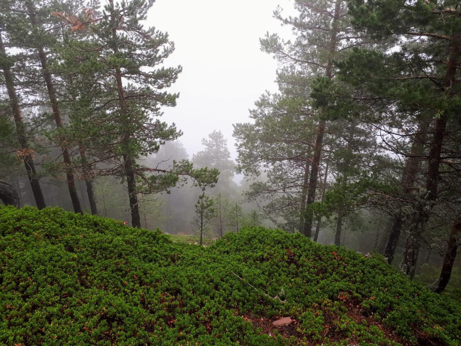 B&B En Valdemoro De La Sierra Exteriér fotografie